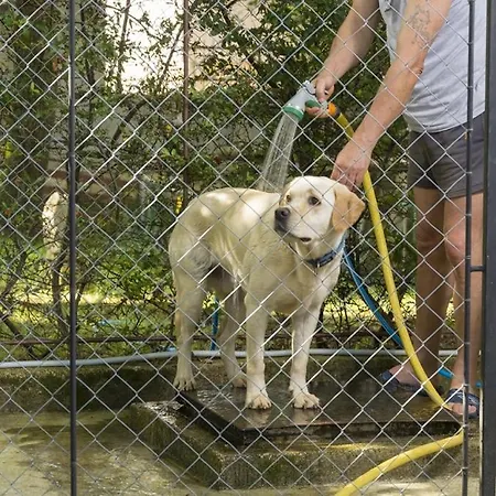 4928-11 For 4 Pers In * Porec