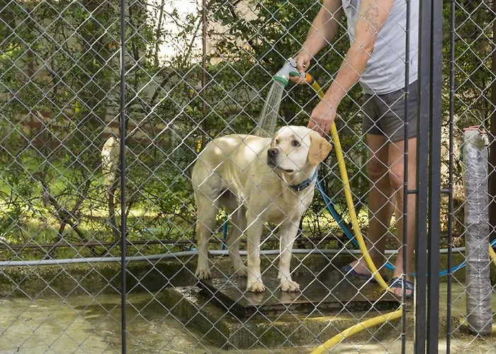 4928-11 For 4 Pers In * Poreč