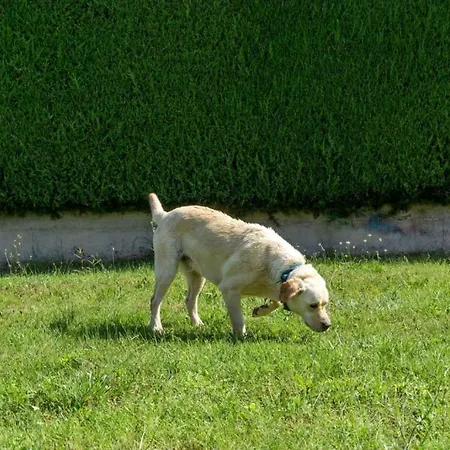 Nyaraló 4928-11 For 4 Pers In