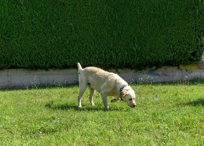 Feriehus 4928-11 For 4 Pers In